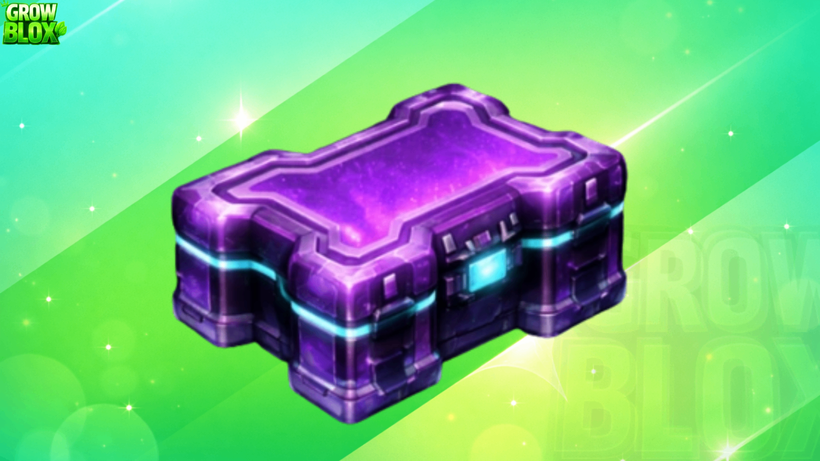 125X COSMETIC CRATE