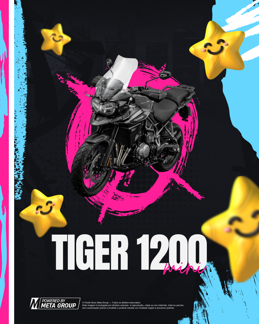 MINI MOTO TIGER1200