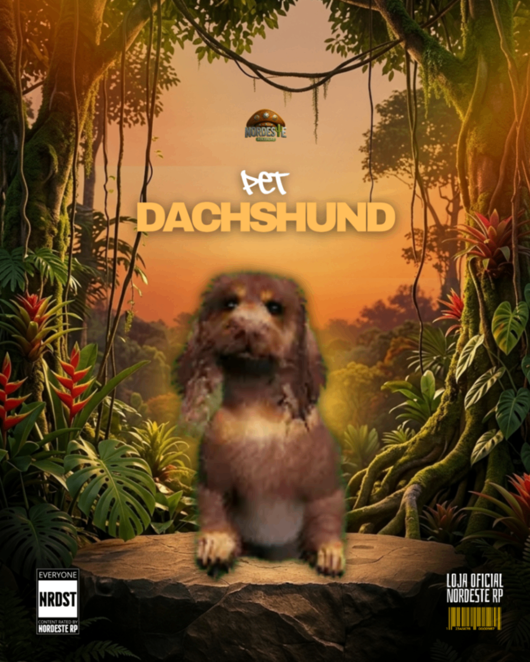 Dachshund