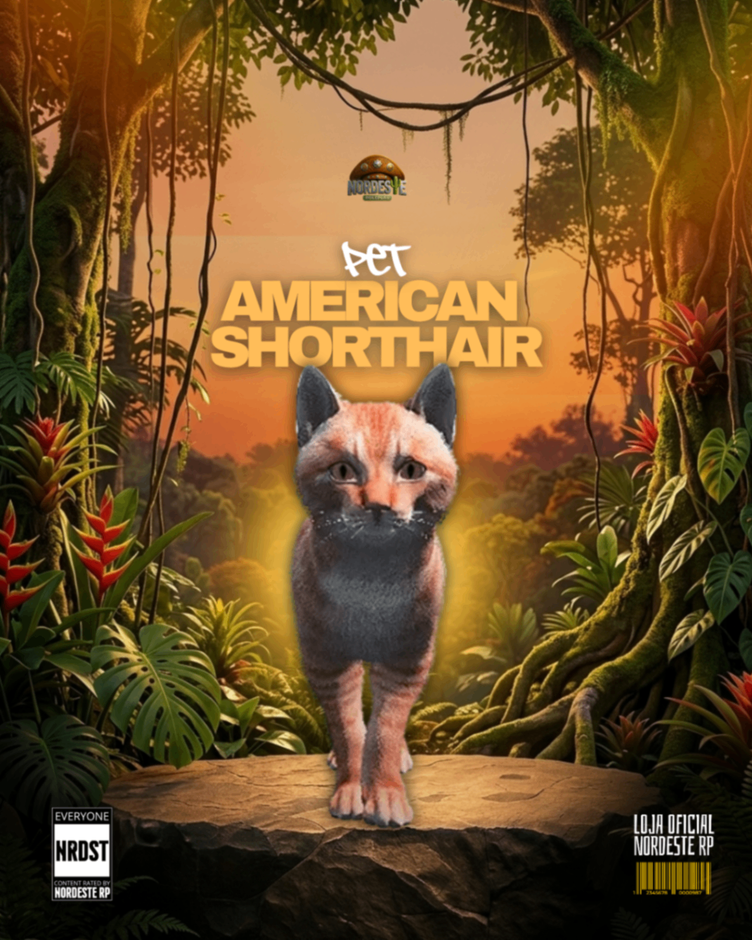 Gato Laranja Olhos Azuis