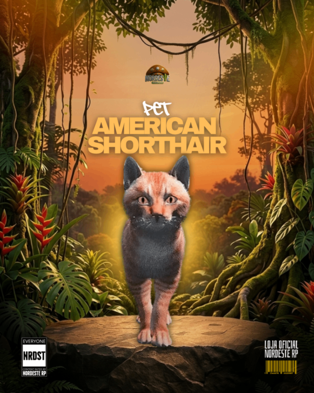 Gato Americano Laranja