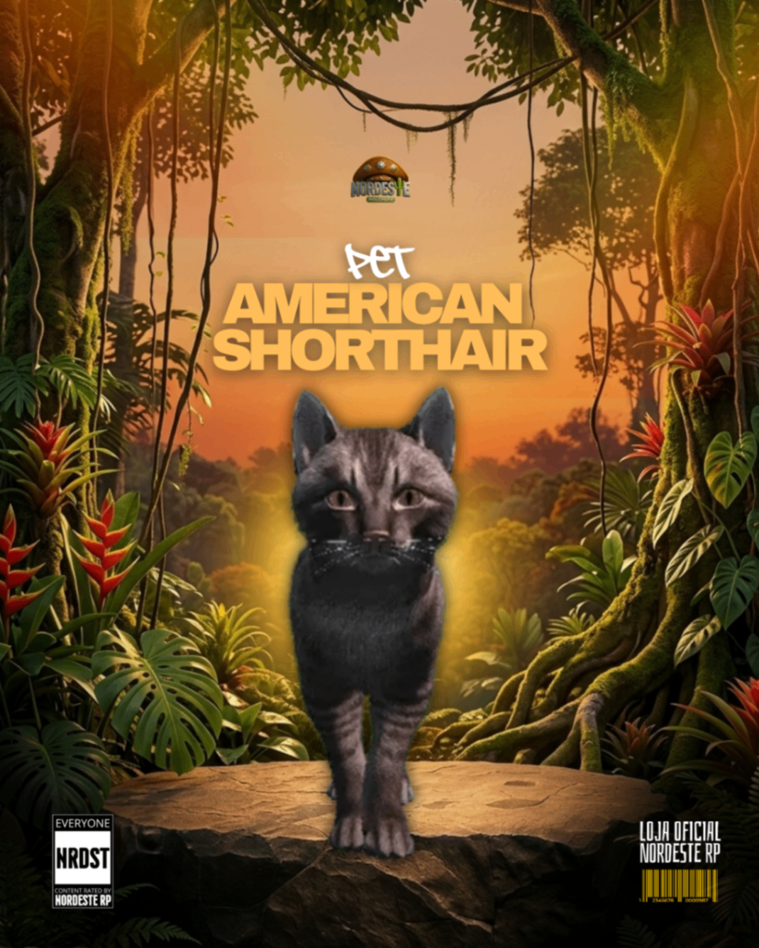 Gato Preto Olhos Laranja