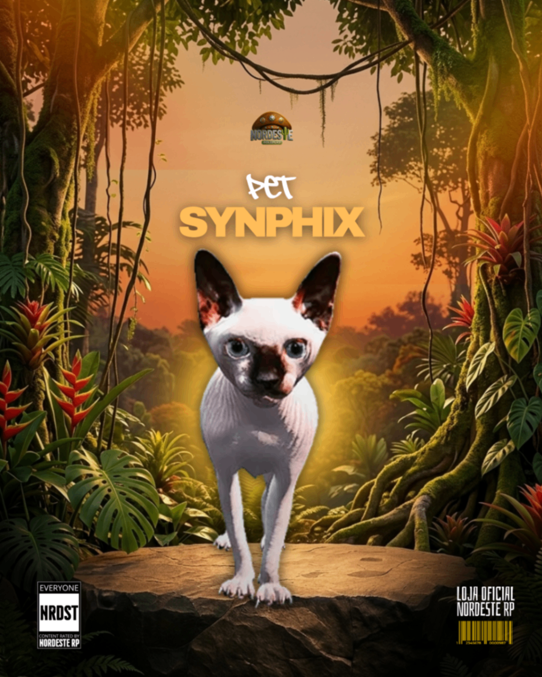 Gato Sphynx