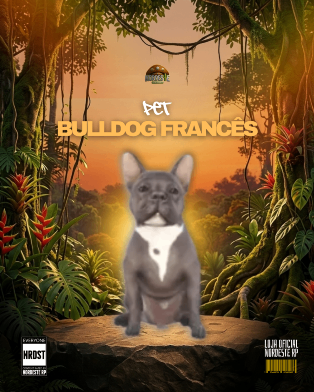 Bulldog Preto