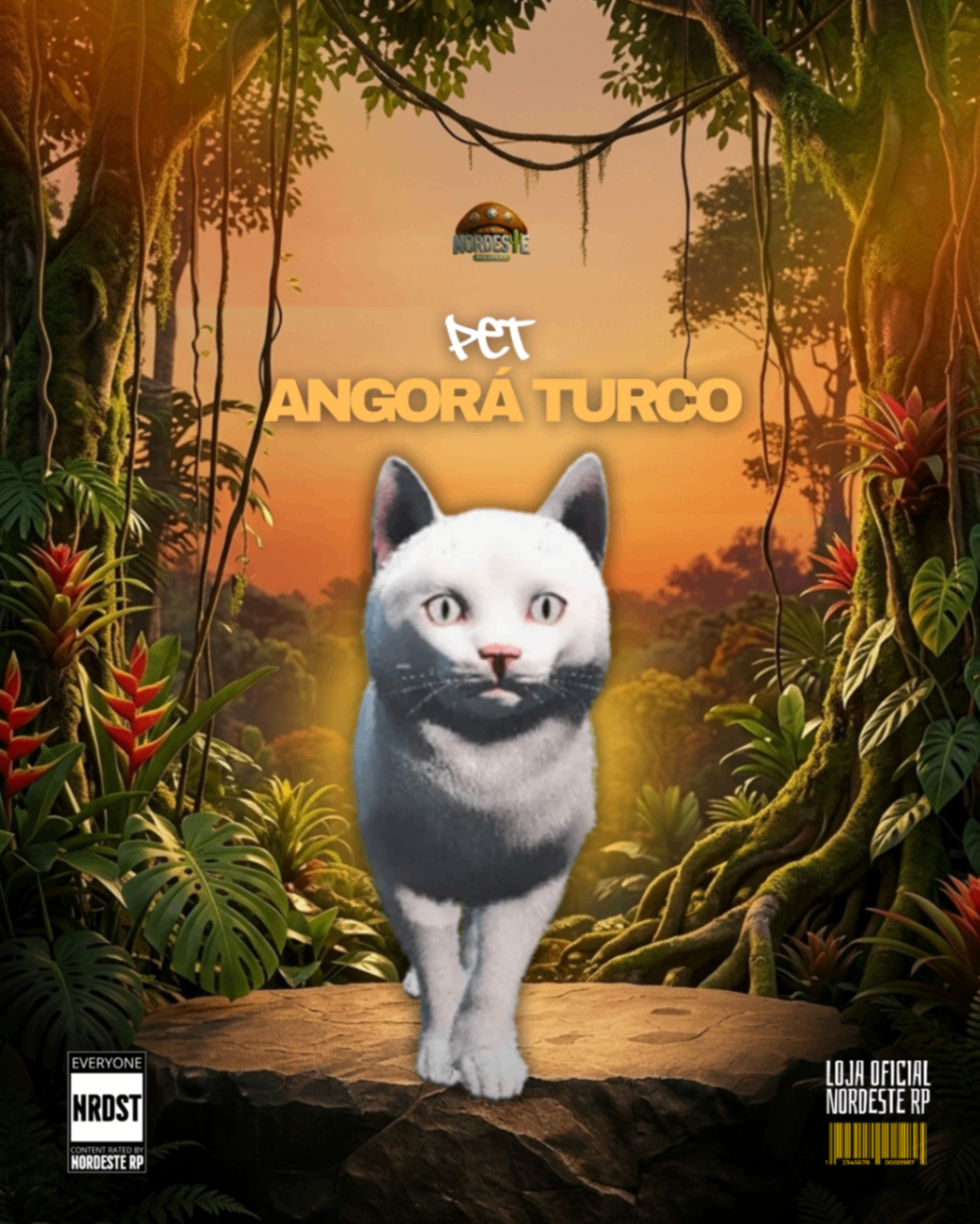 Gato Turco Neve 2