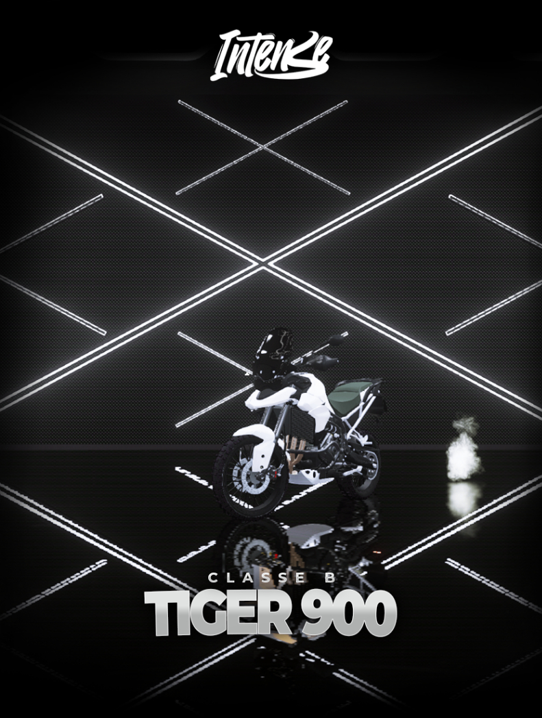 TIGER 900