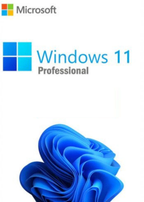 Windows 11