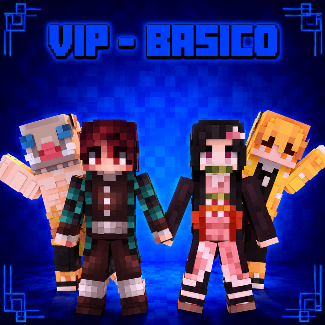VIP BASICO MENSAL