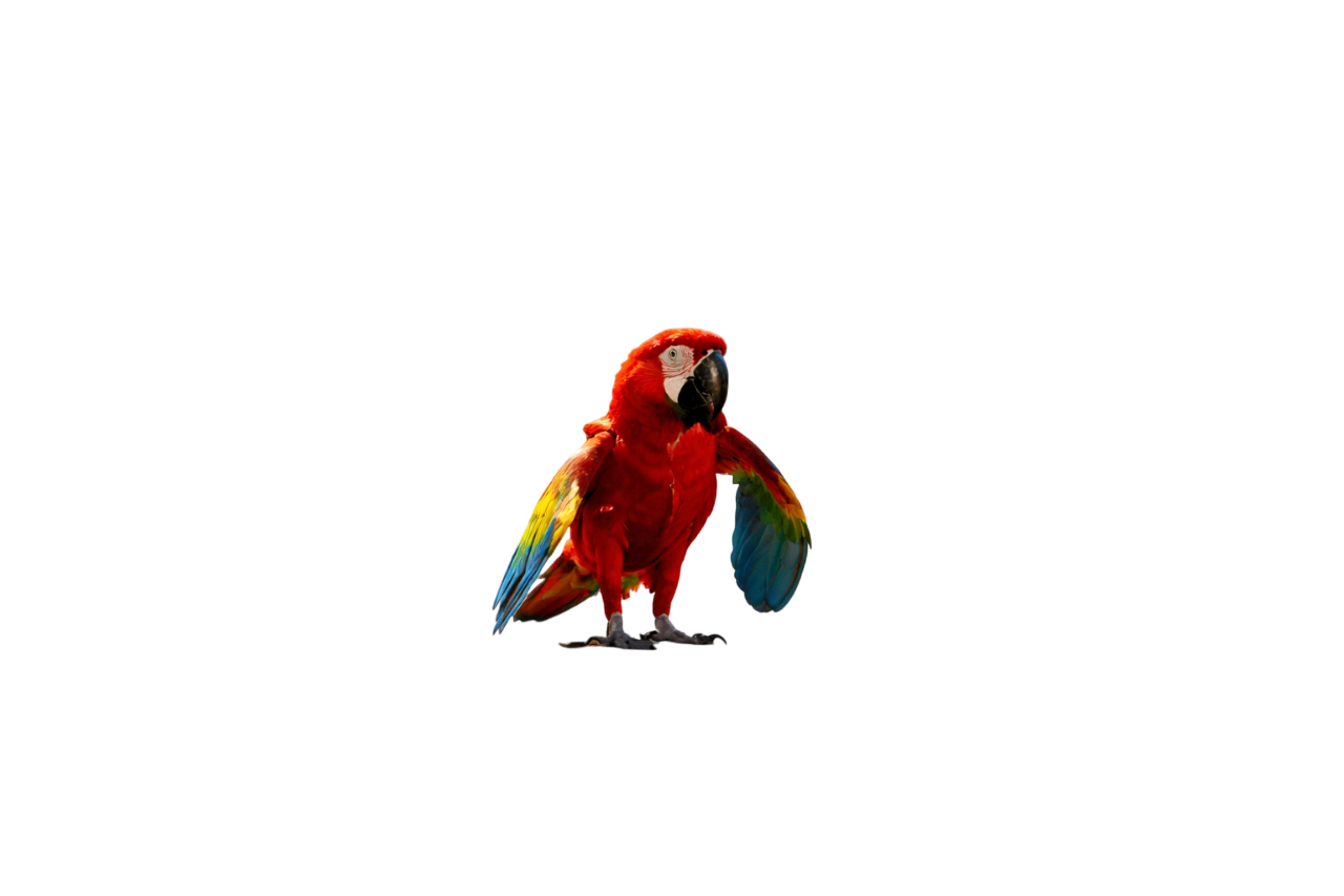 ARARA