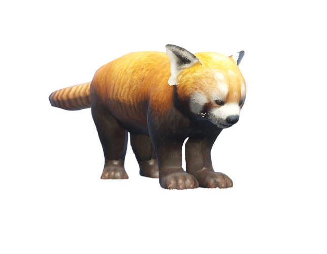 RED PANDA