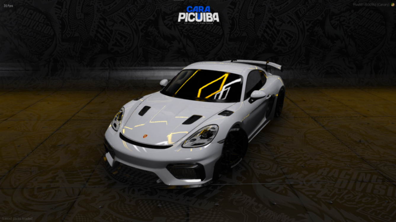 PORSCHE 718 GT4 RS