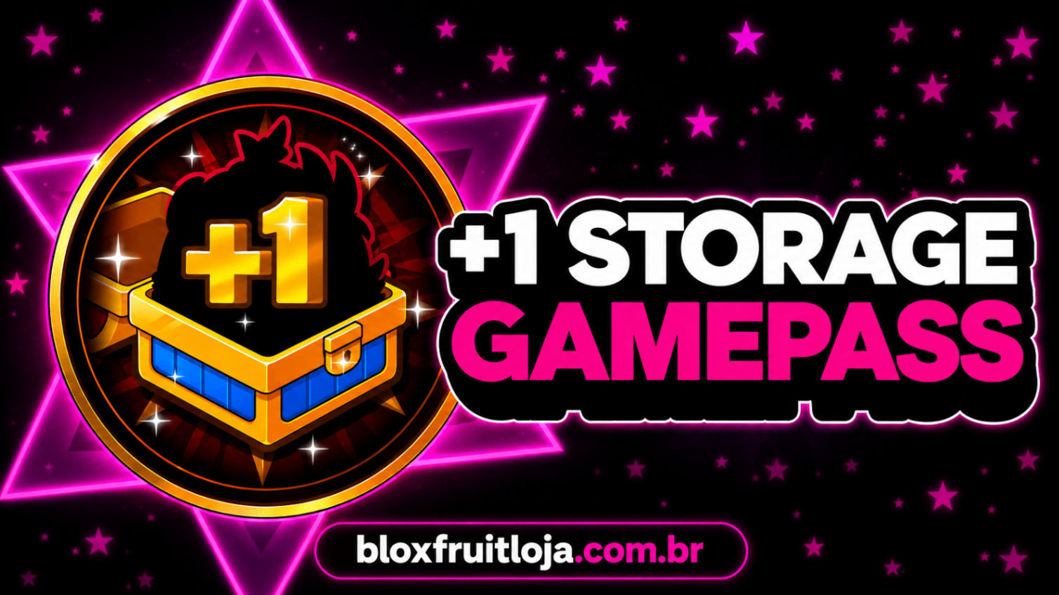 +1 STORAGE