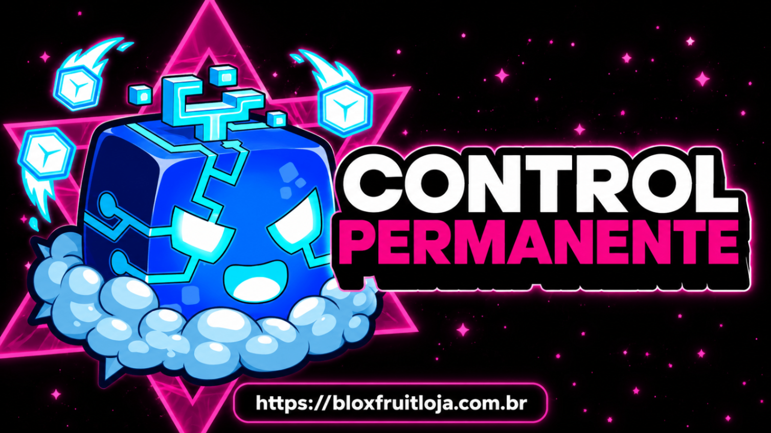 CONTROL PERMANENTE