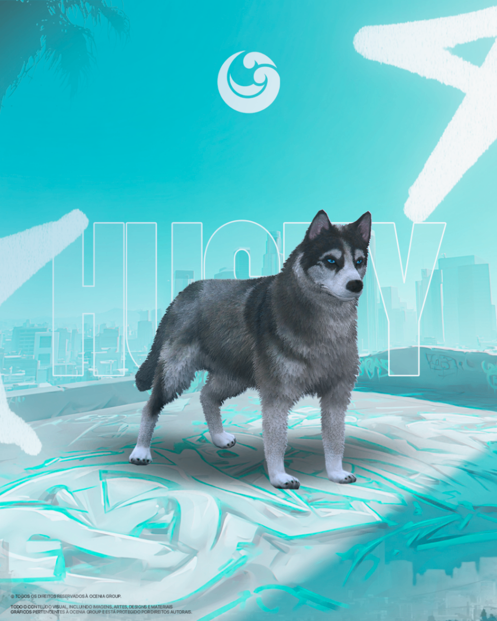 Pet Husky