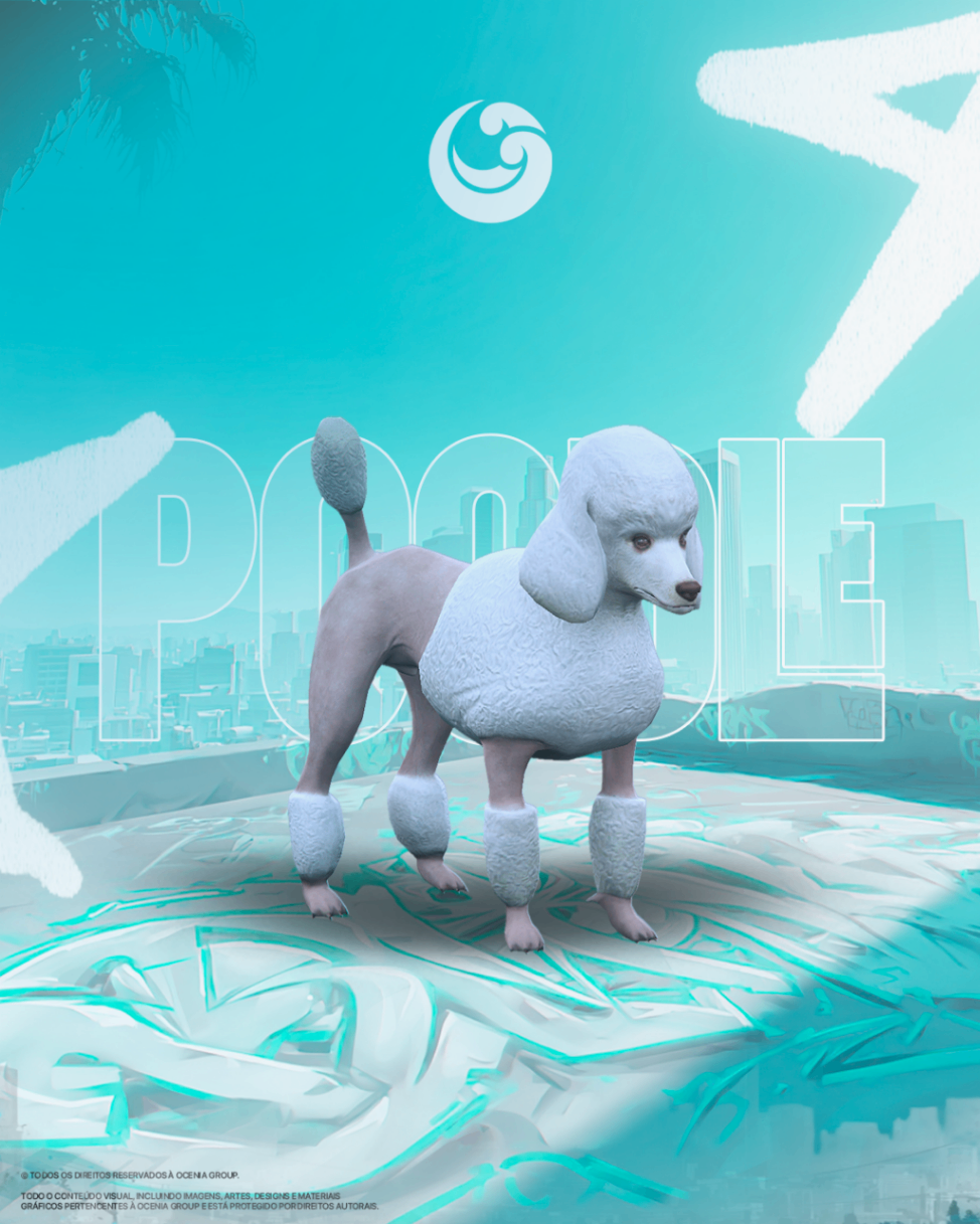 Pet Poodle