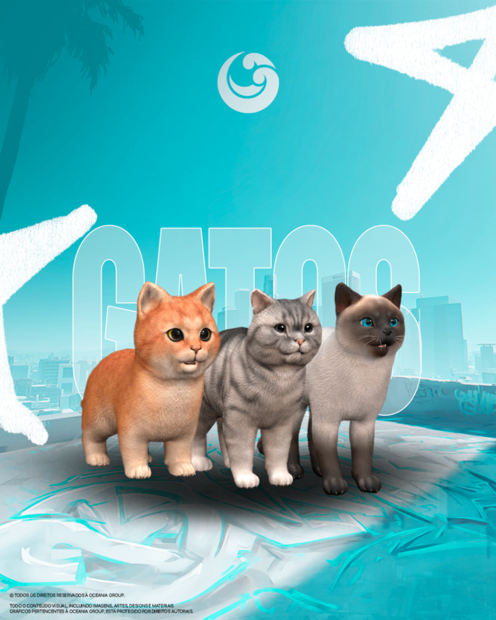 Gato