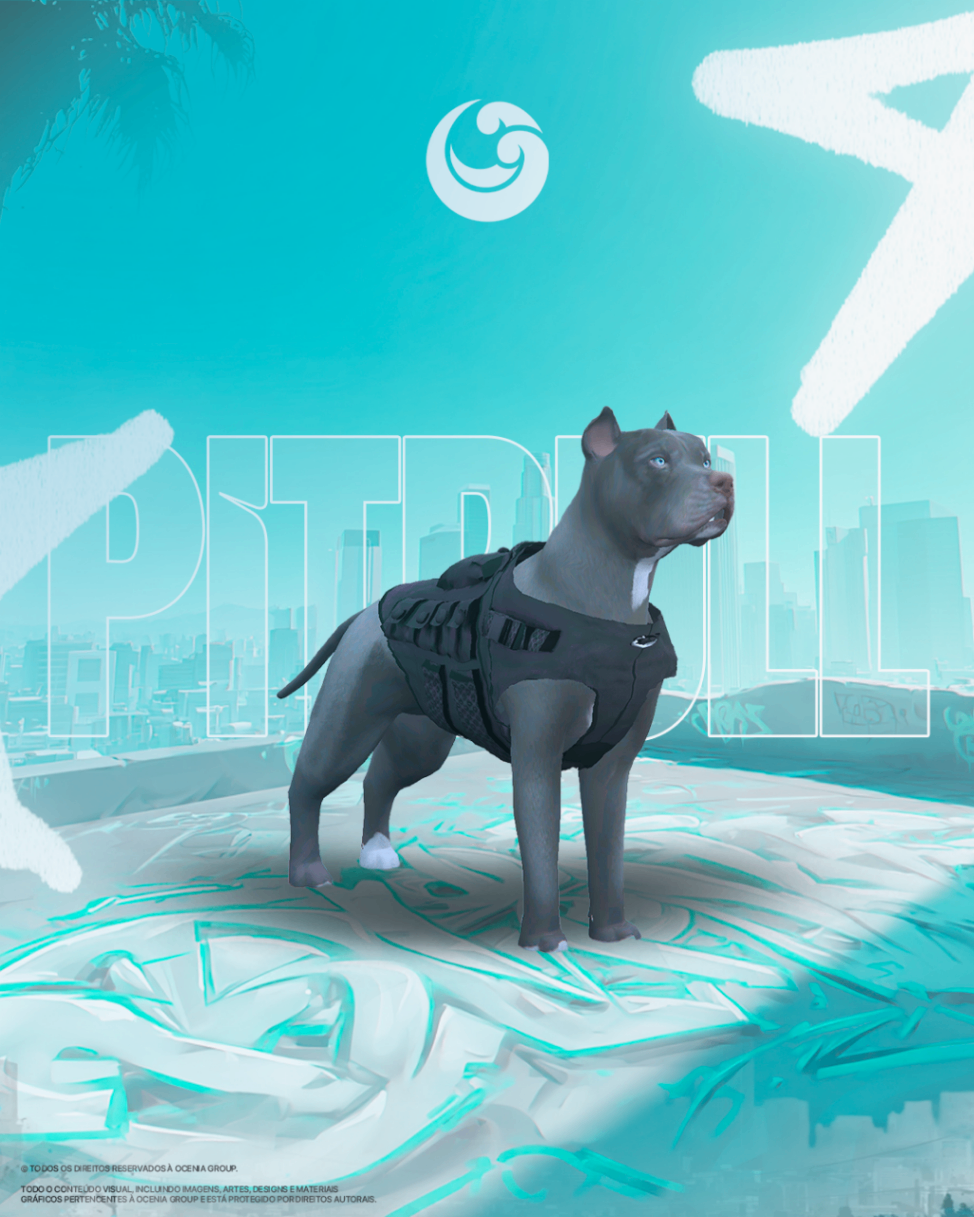 Pet Pitbull