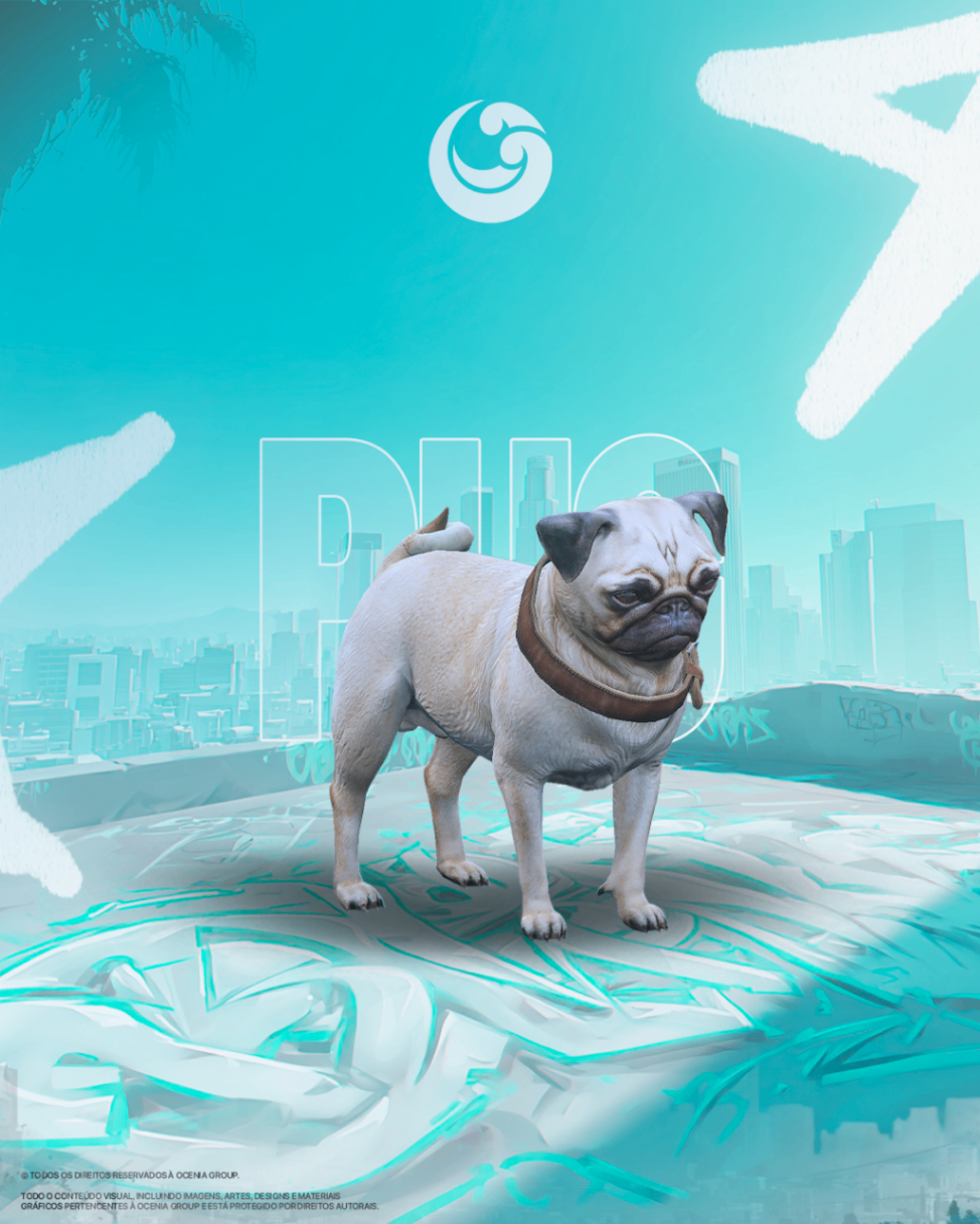 Pet Pug