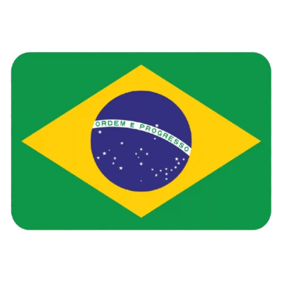 100 SEGUIDORES BRASILEIROS