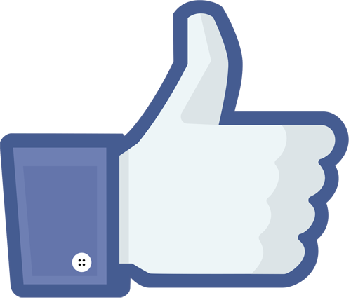 100 CURTIDAS POST/REELS
