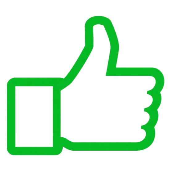 100 CURTIDAS BRASILEIRAS