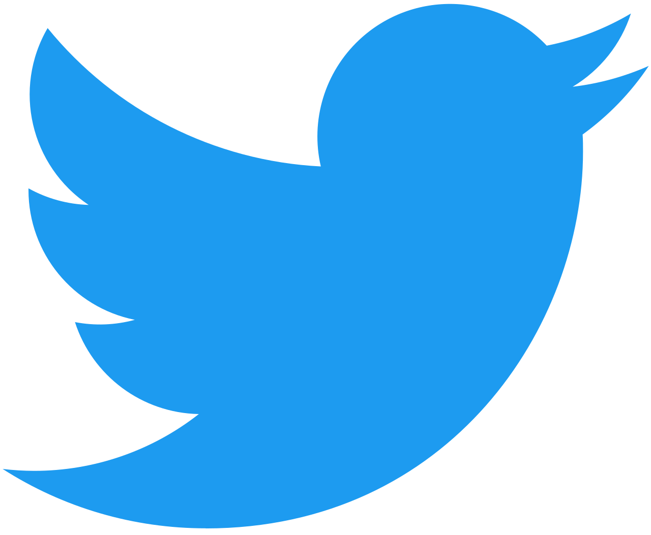 100 SEGUIDORES TWITTER