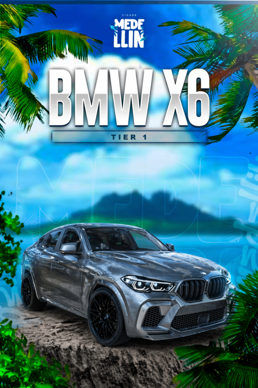 BMW X6