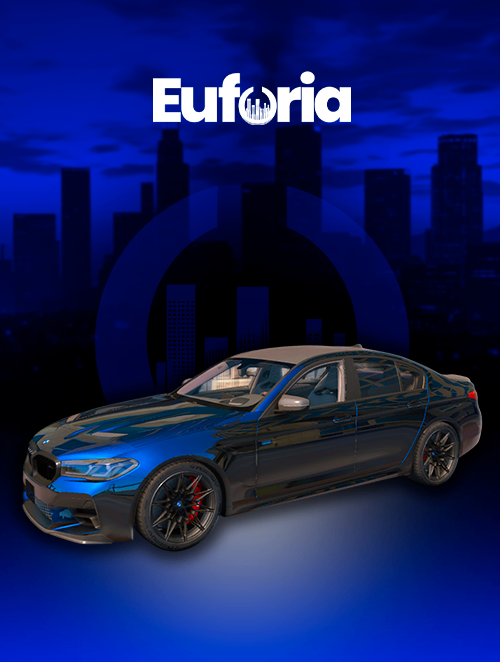 BMW M5 30 DIAS