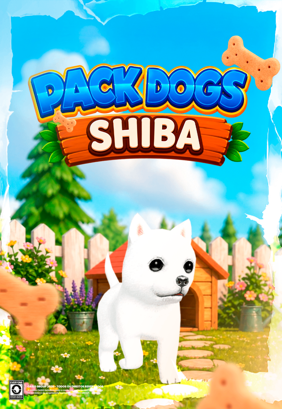 Shiba Inu 2