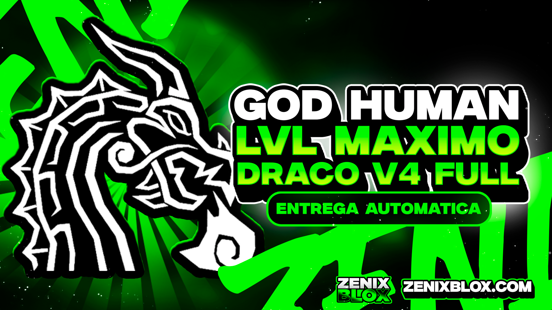 🐲 LEVEL 2800 + DRACO V4 FULL COM GOD HUMAN E CDK