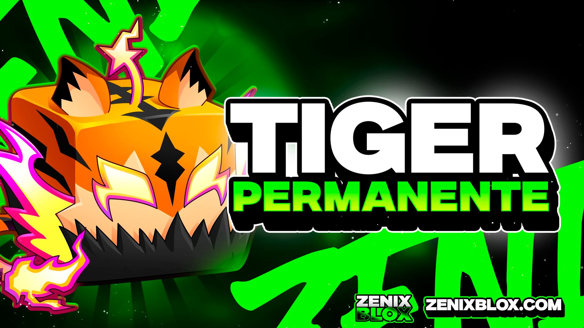 🐯 TIGER PERMANENTE