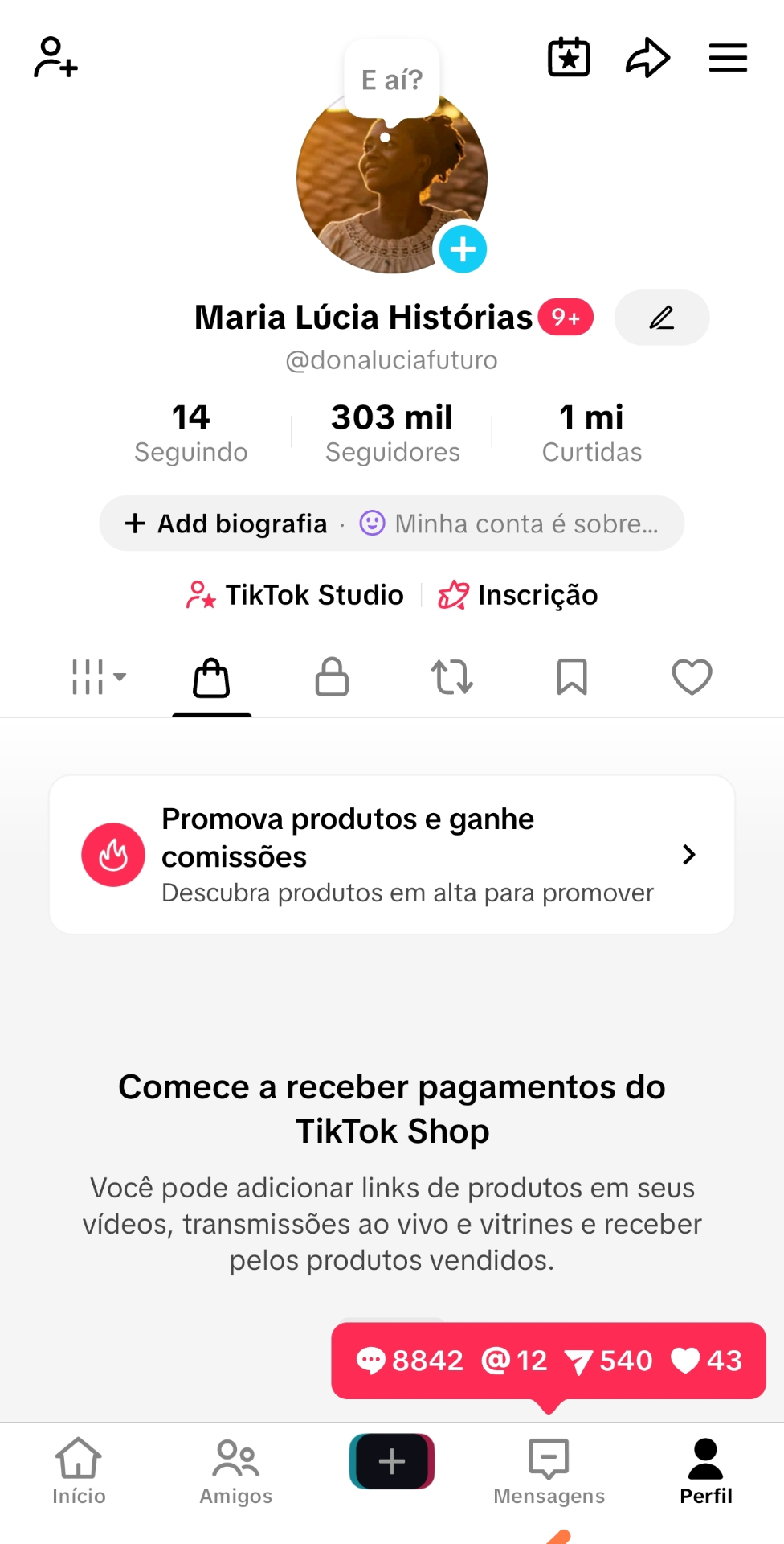 TikTok 303 Mil Seguidores com Shop Sem Documento