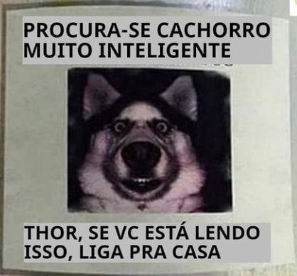 teste