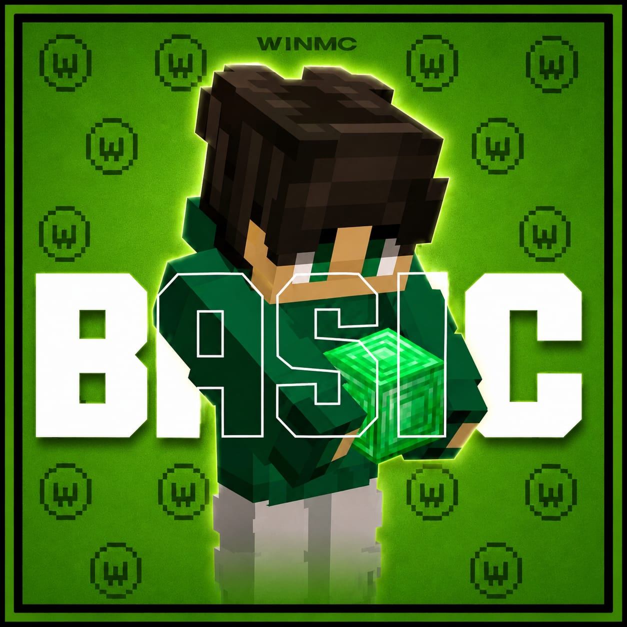 Vip Basic