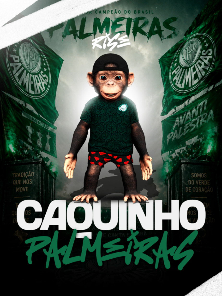 Caquinho Palmeiras