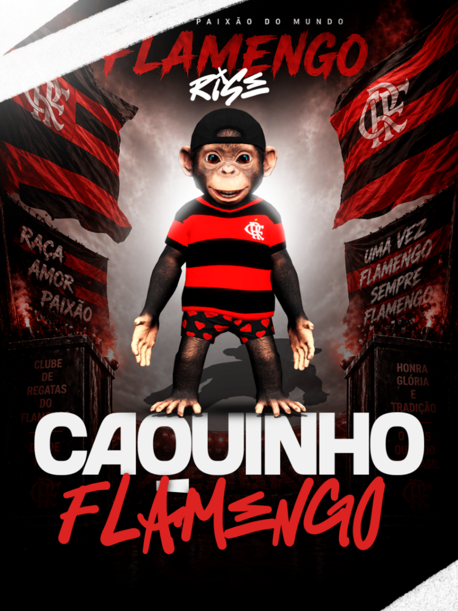 Caquinho Flamengo