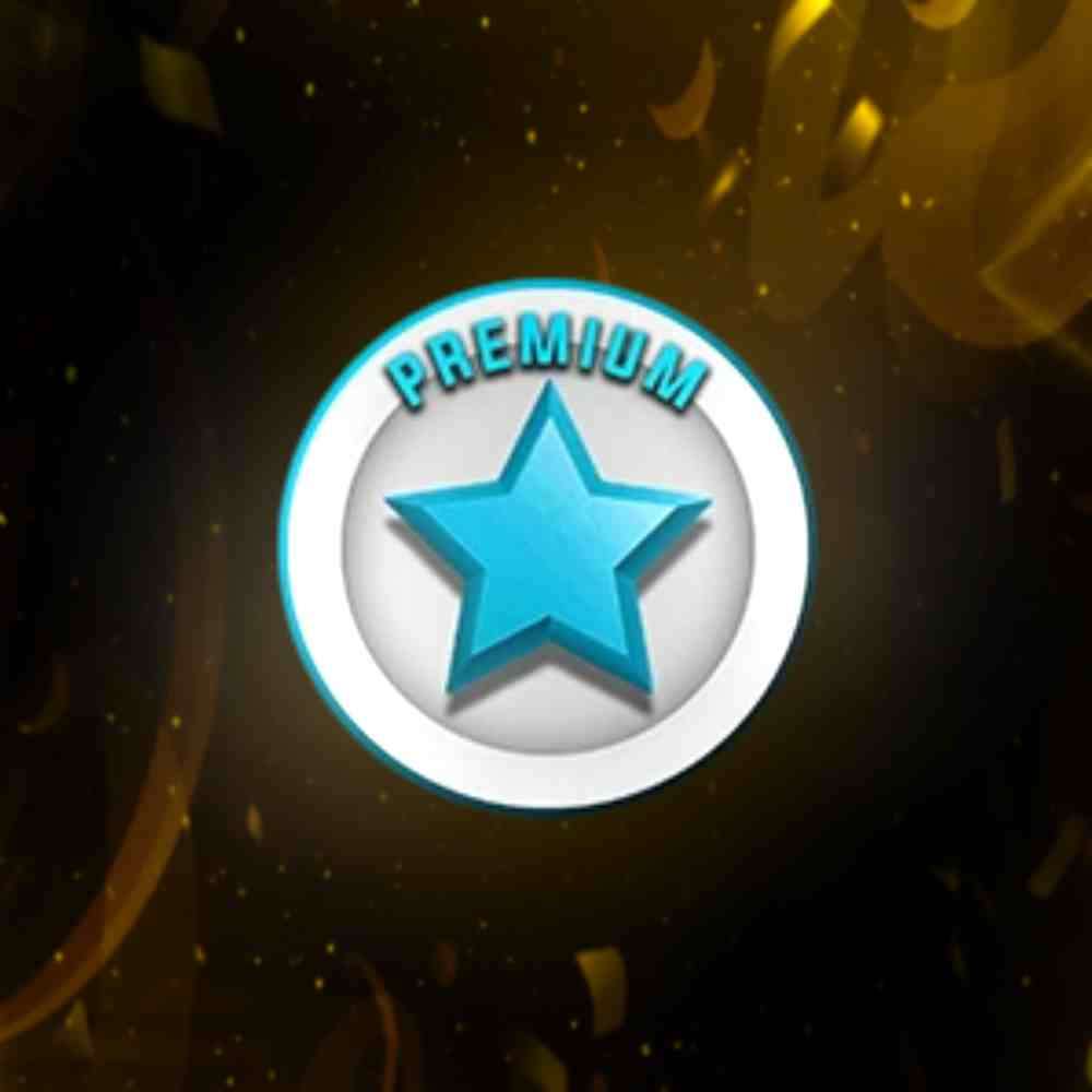 🌟 premium