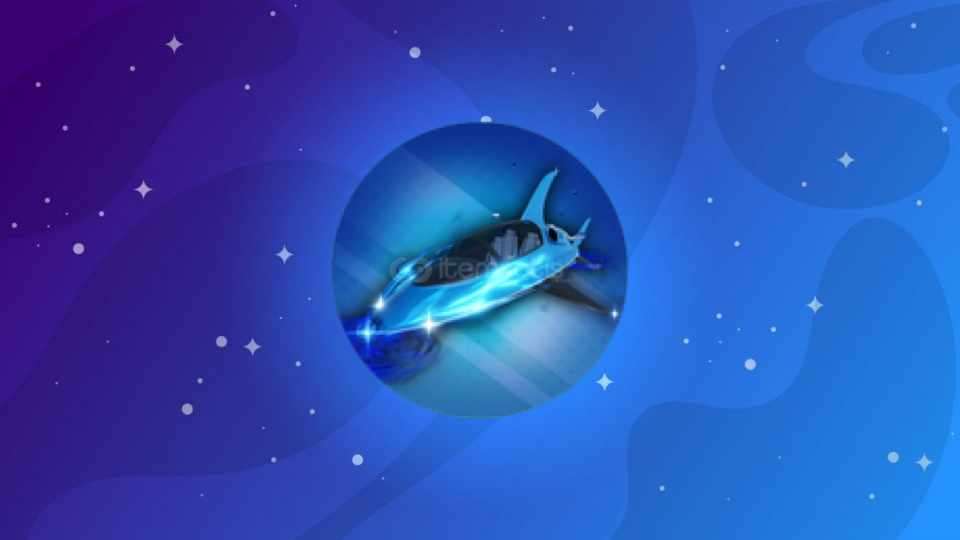 🦈 Sharki