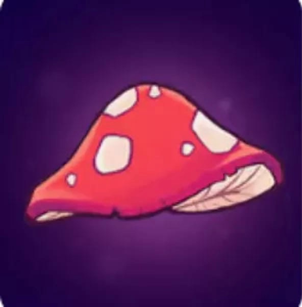 🍄 50.000 MUSHROOM
