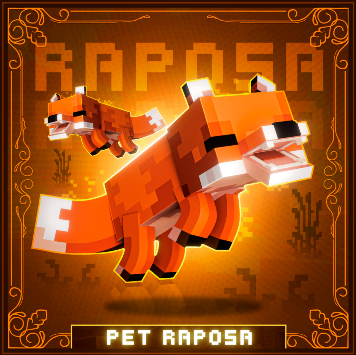 PET RAPOSA