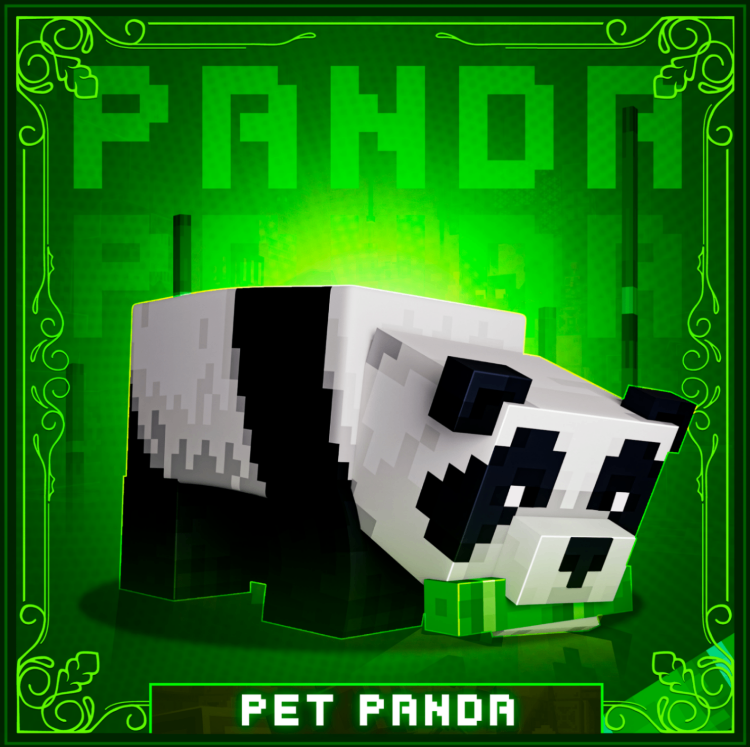 PET PANDA