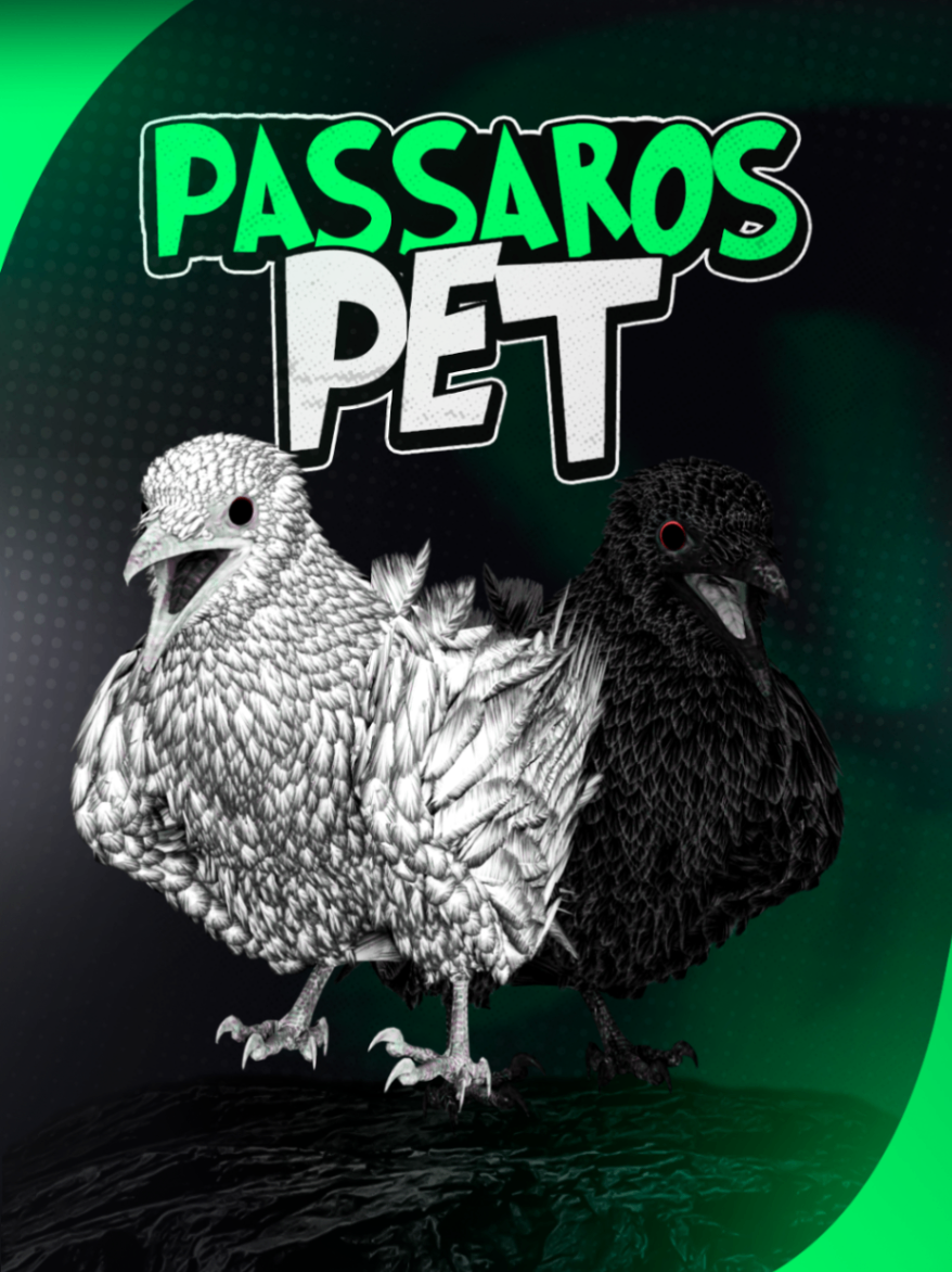 Pássaro's