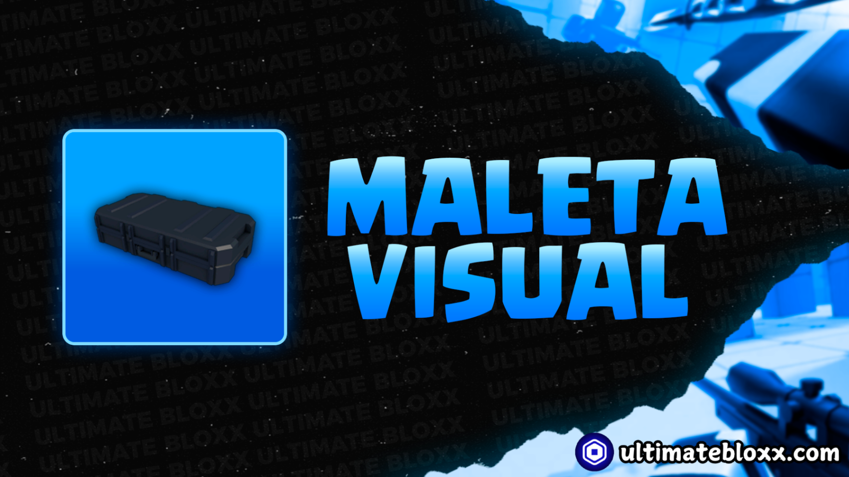 1X SKIN CASE [ 249 ROBUX ]